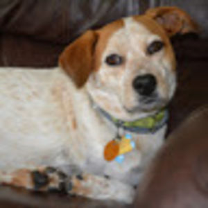 Meet your Posher, Janel